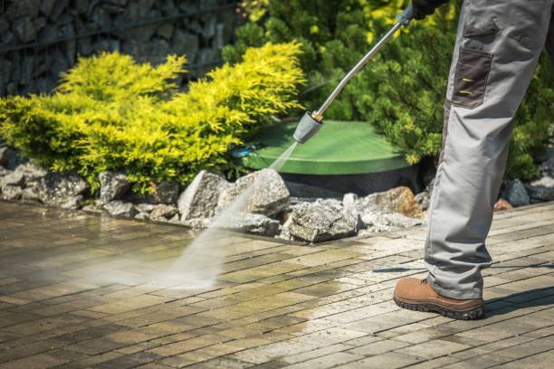 Best Soft Washing for Delicate Surfaces in Berlin, WI