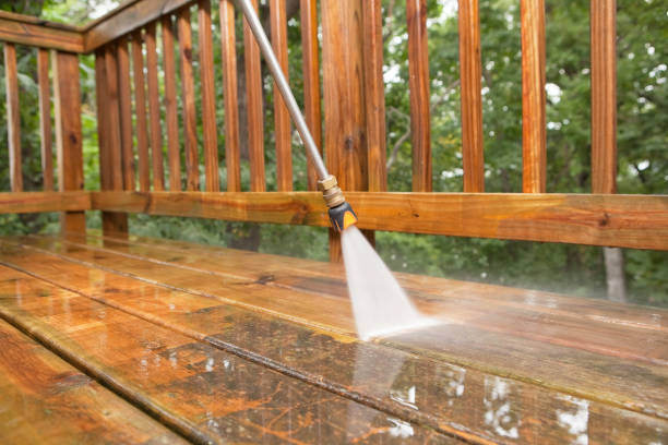 Best Roof Cleaning and Mildew Removal in Berlin, WI